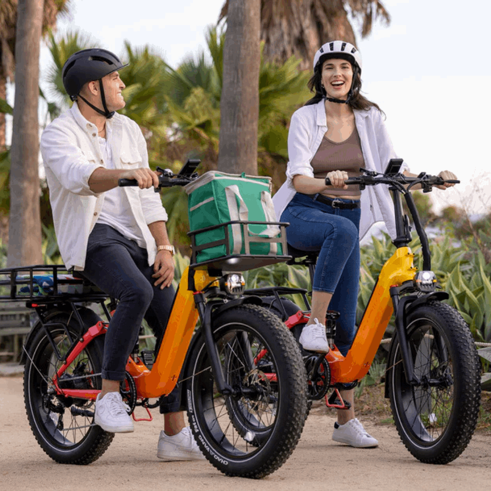 Horizon E-Bike