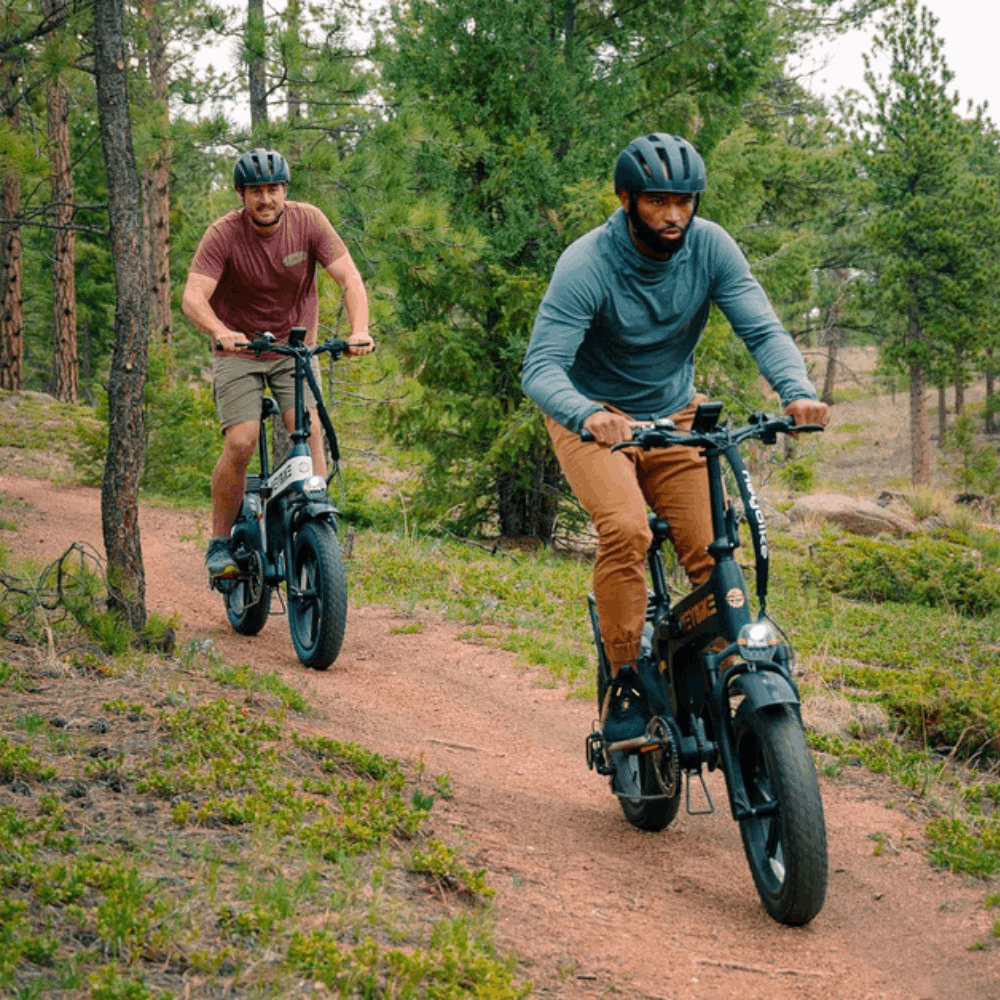 Tyson E-Bike