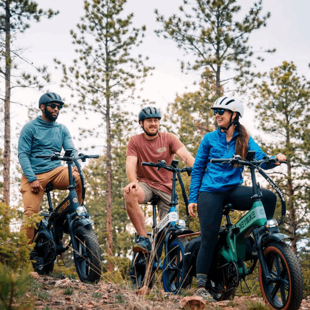 Tyson E-Bike