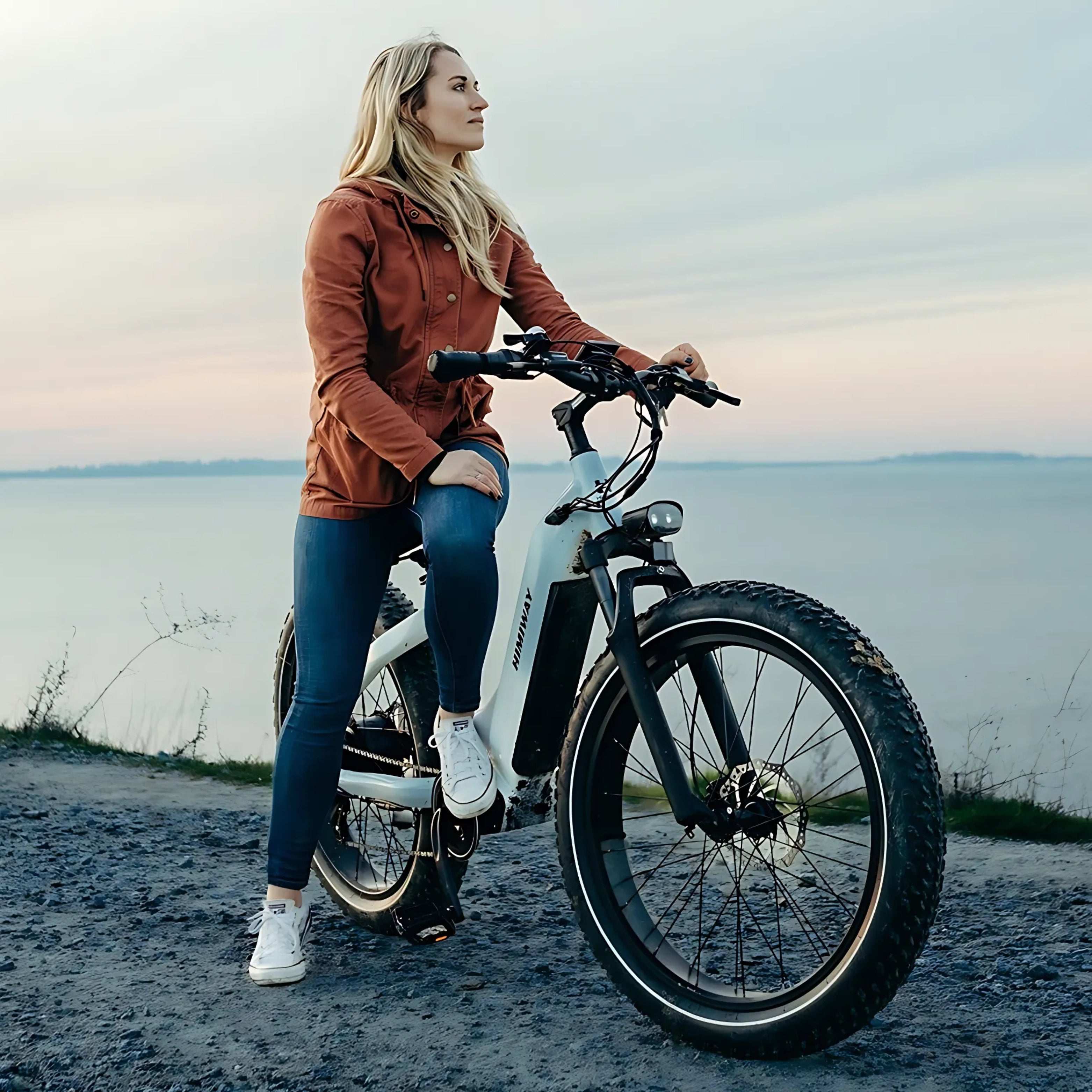 D5 ST (Zebra ST) E-Bike