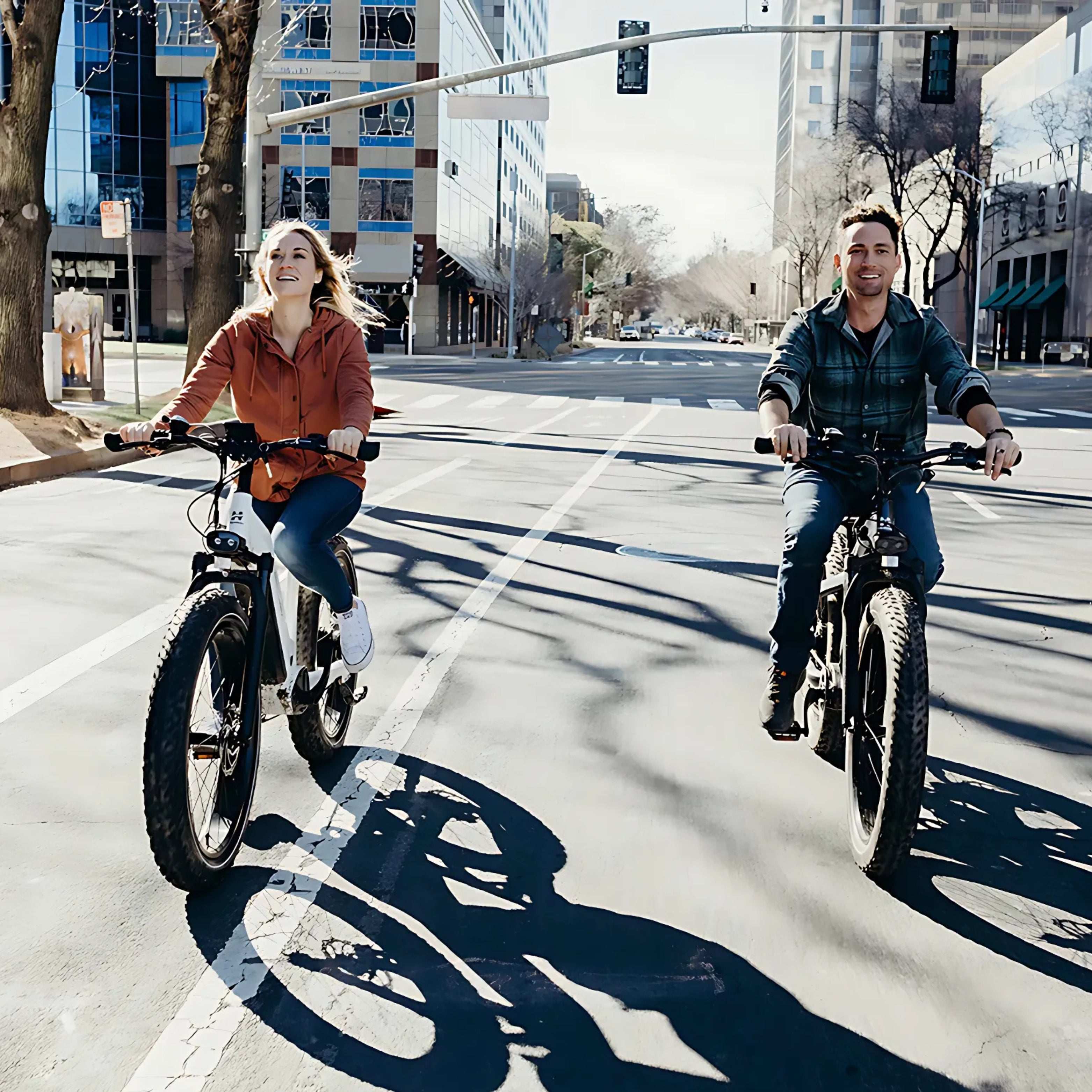 D5 (Zebra) E-Bike