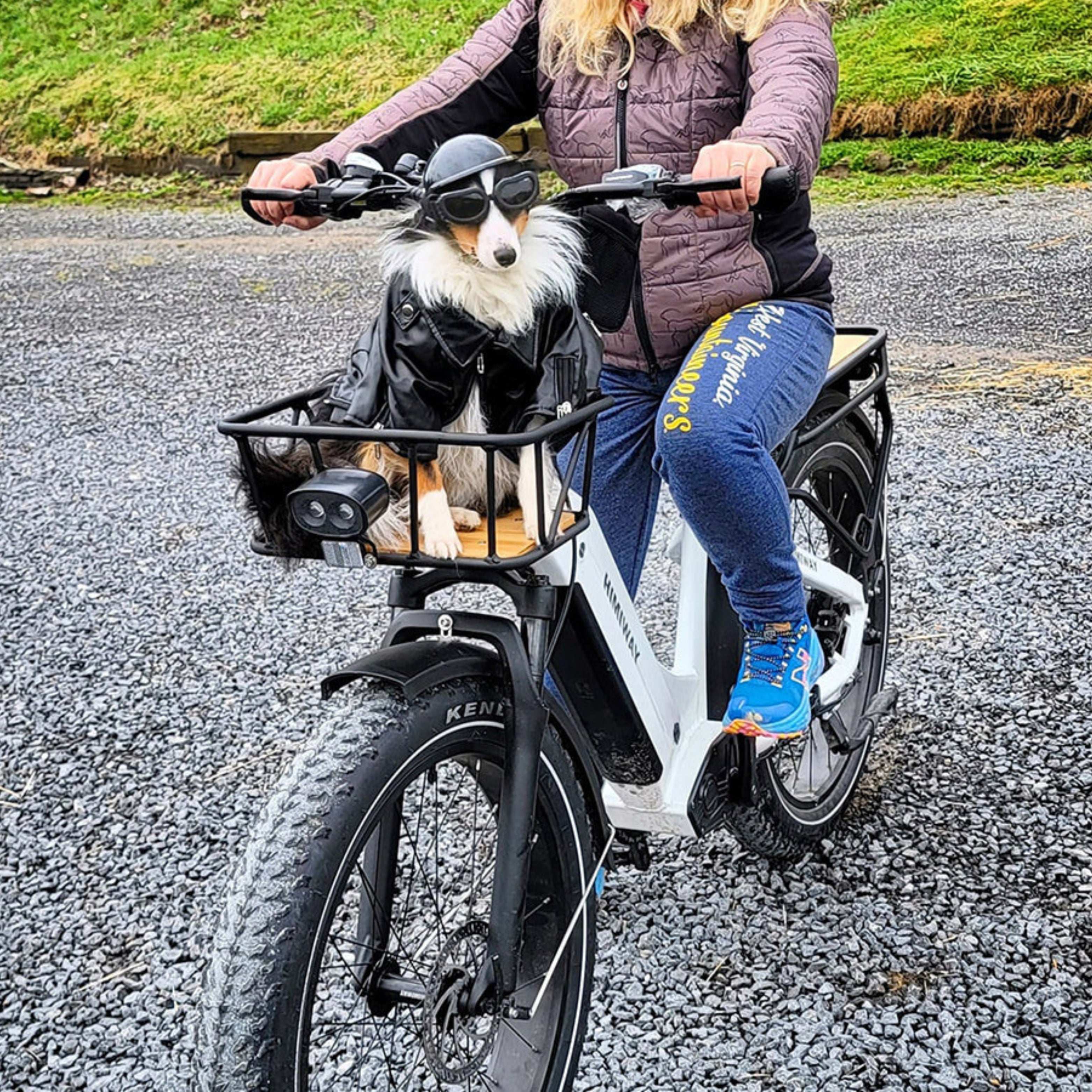 D5 (Zebra) E-Bike