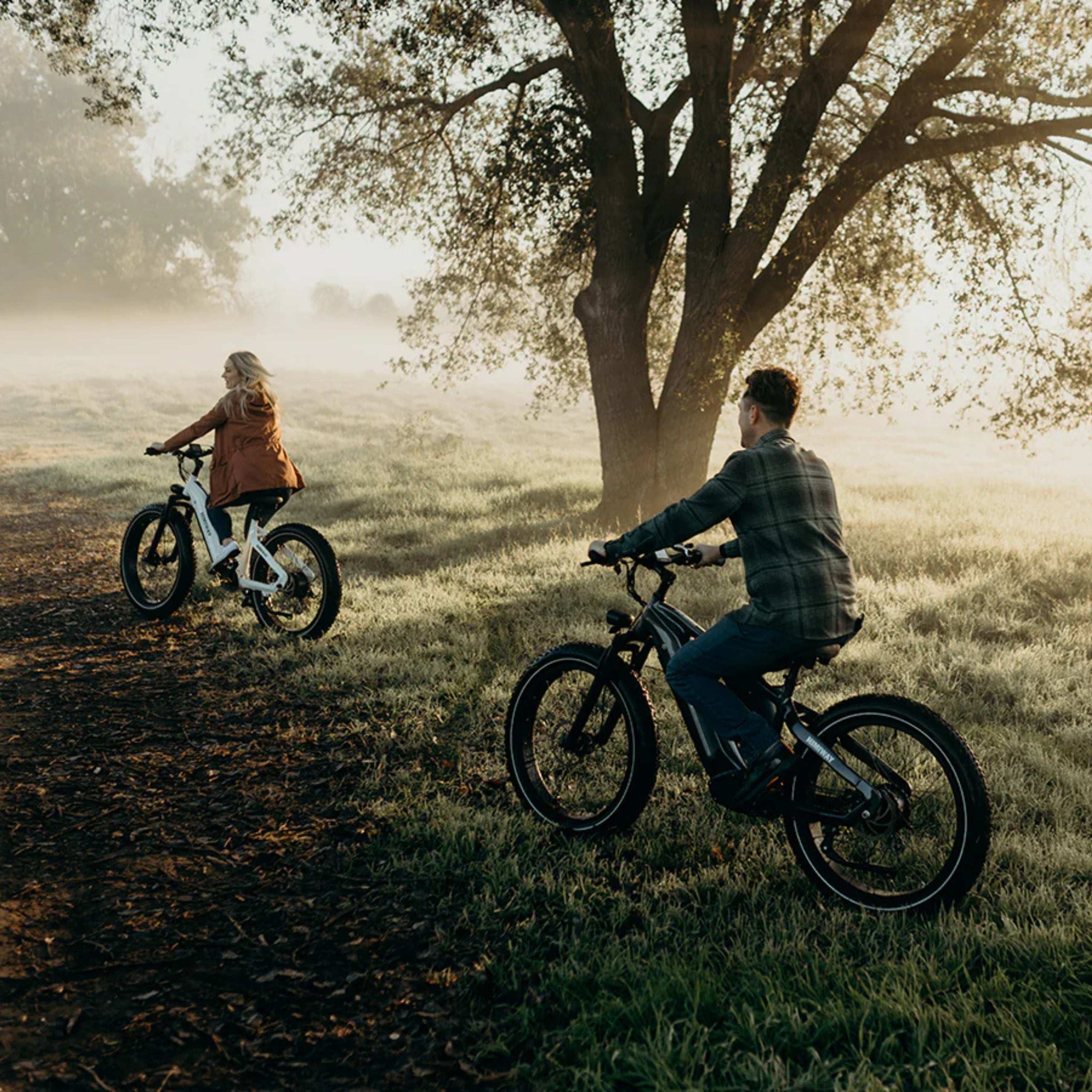 D5 (Zebra) E-Bike