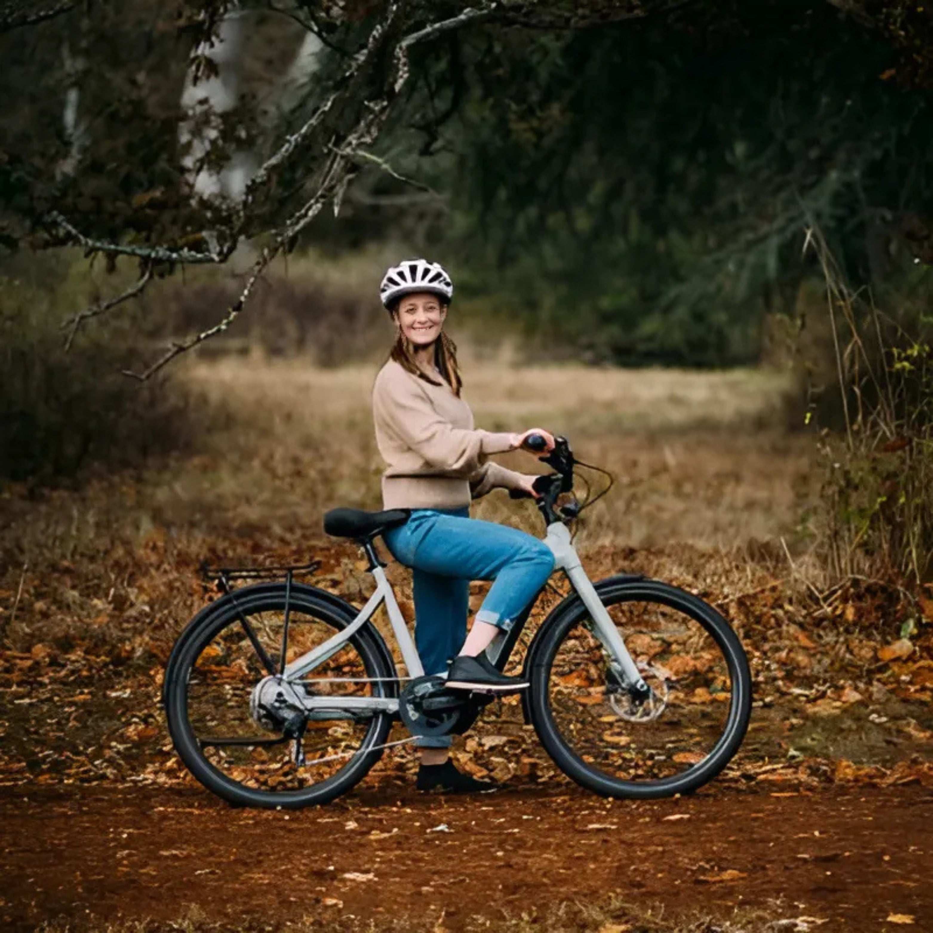 Cruise 3 E-Bike