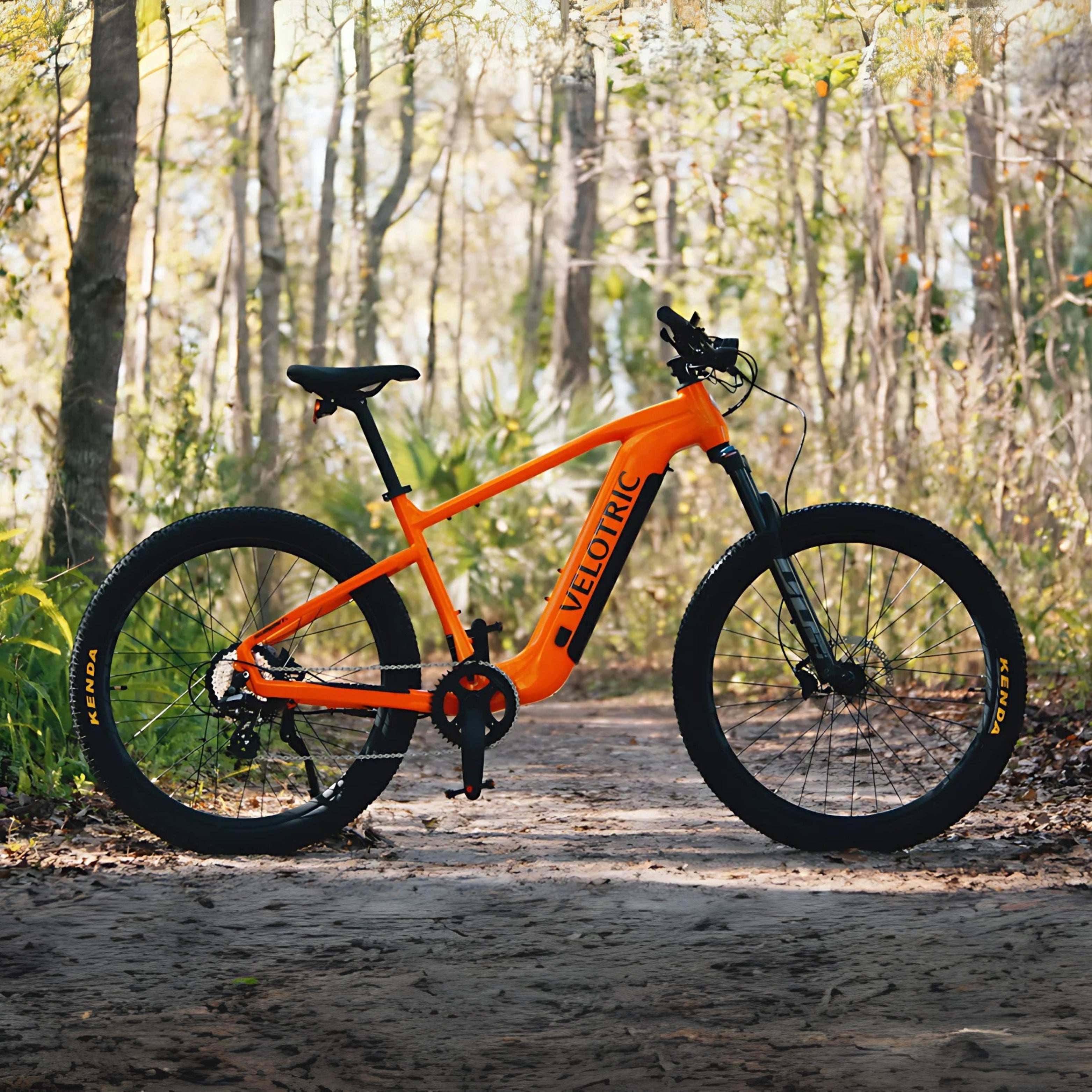Summit 1 E-Bike