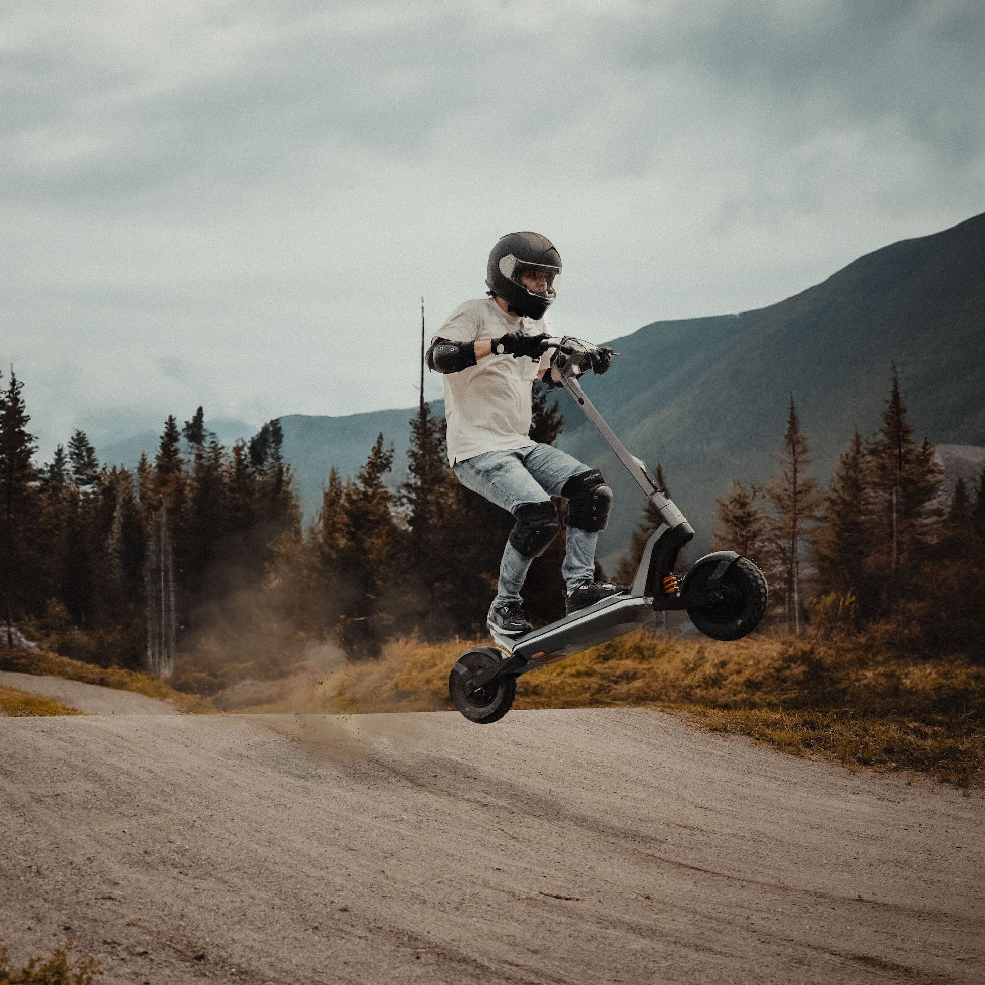 Pro E-Scooter