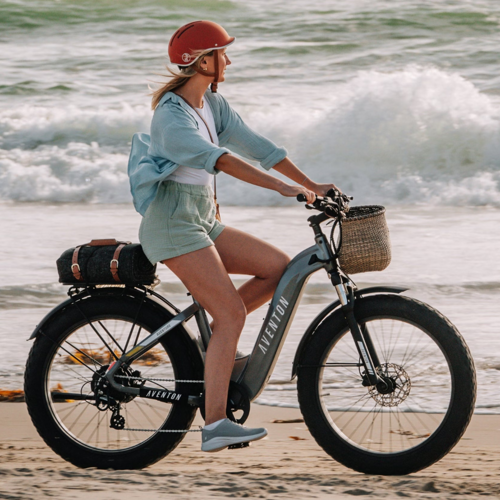 Aventure 2 Step-Through E-Bike