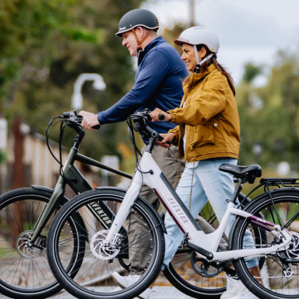 Pace 500.3 Step-Through E-Bike with Free Battery