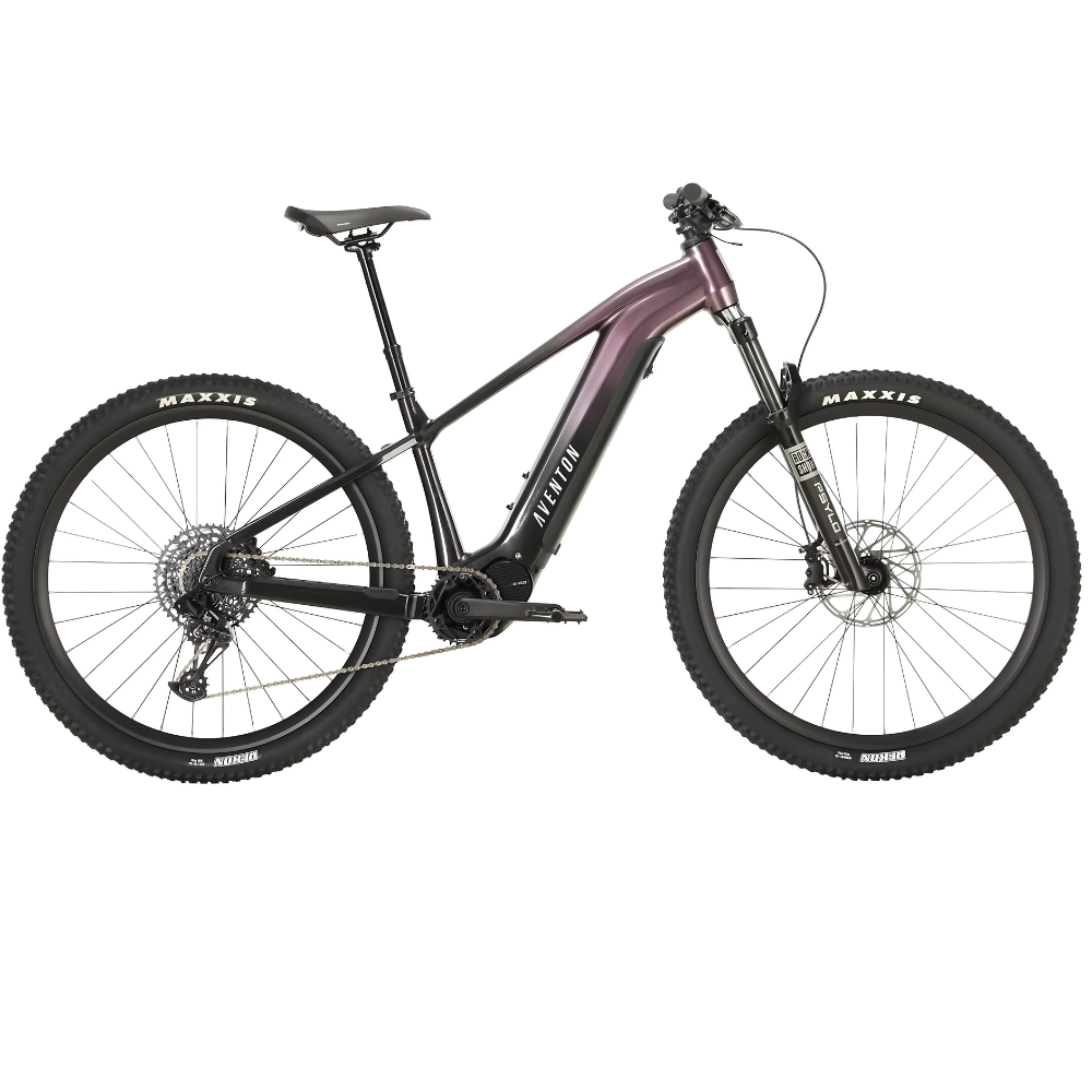 Ramblas Mountain E-Bike