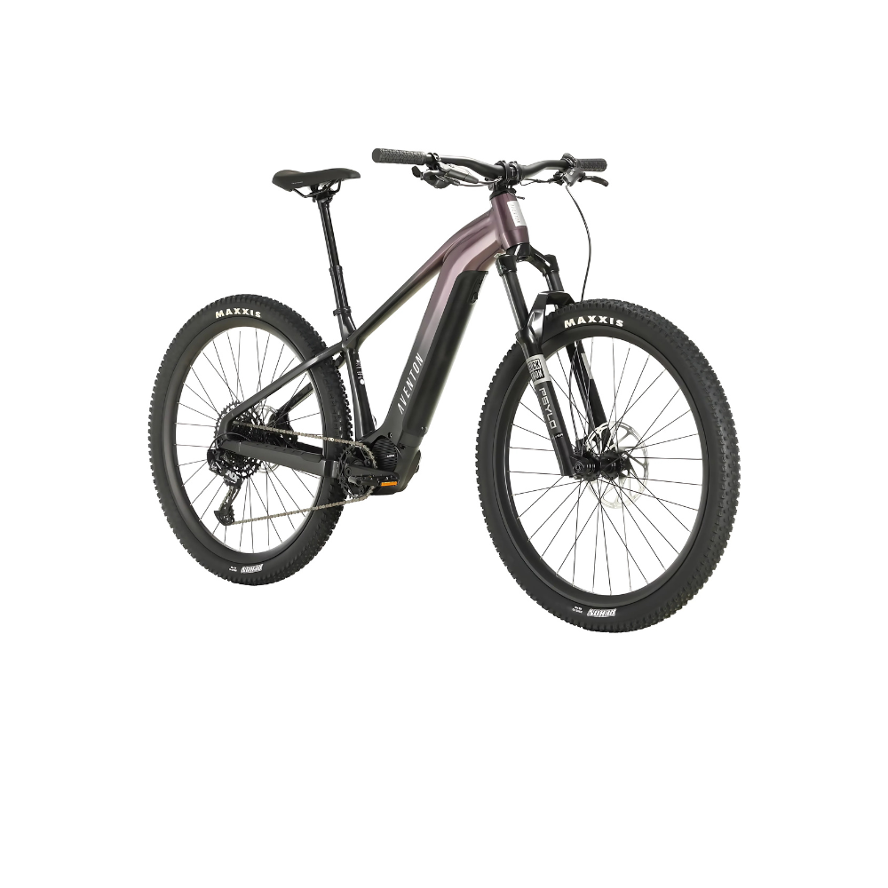 Ramblas Mountain E-Bike