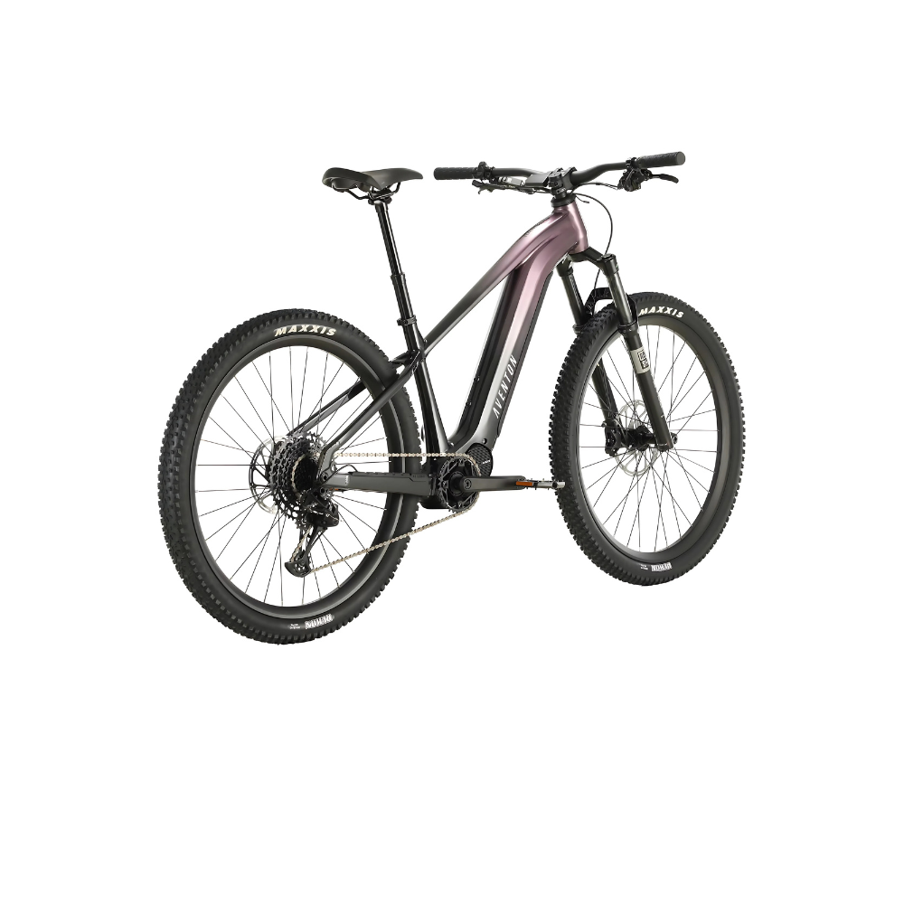 Ramblas Mountain E-Bike