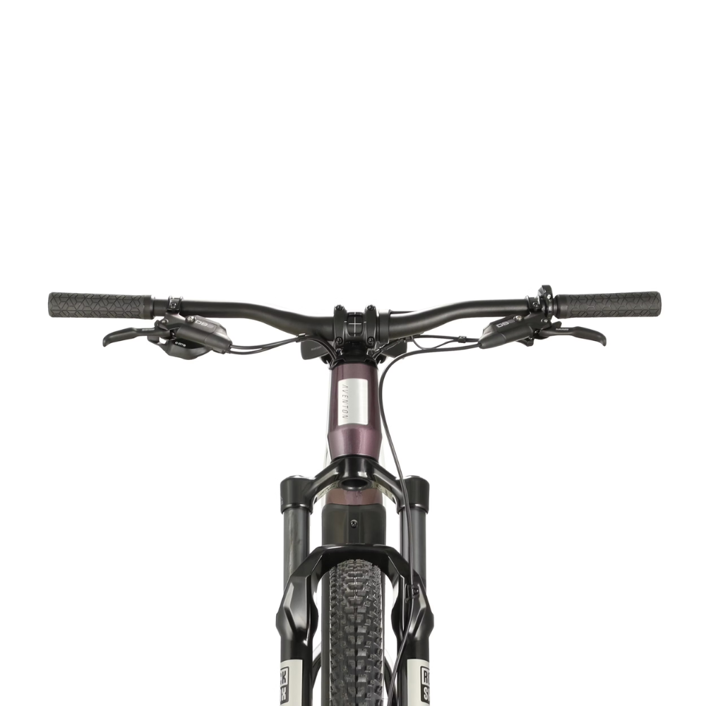Ramblas Mountain E-Bike