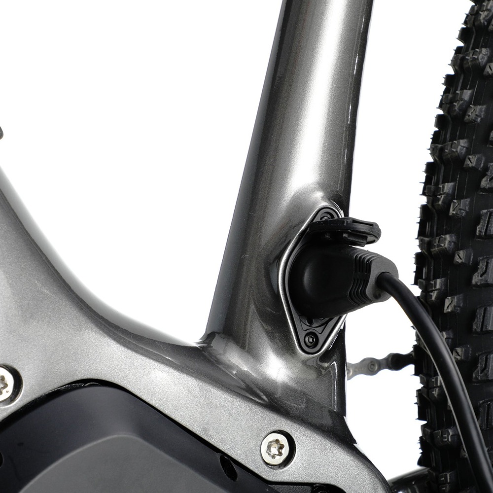 Ramblas Mountain E-Bike