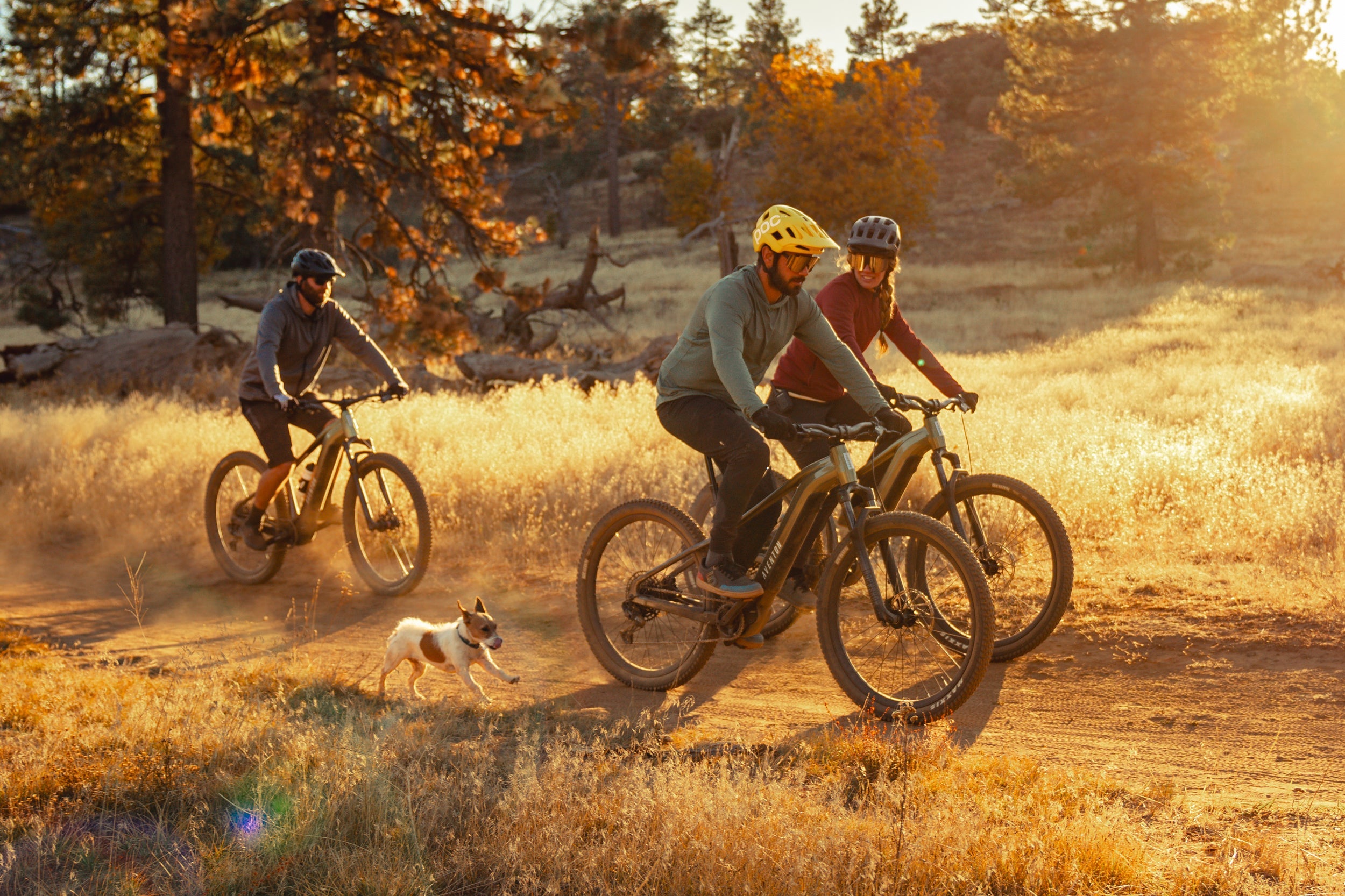 Ramblas Mountain E-Bike