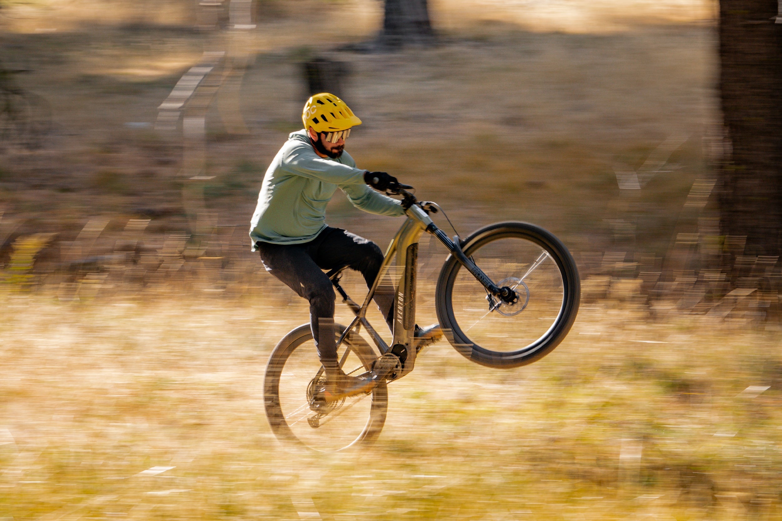 Ramblas Mountain E-Bike