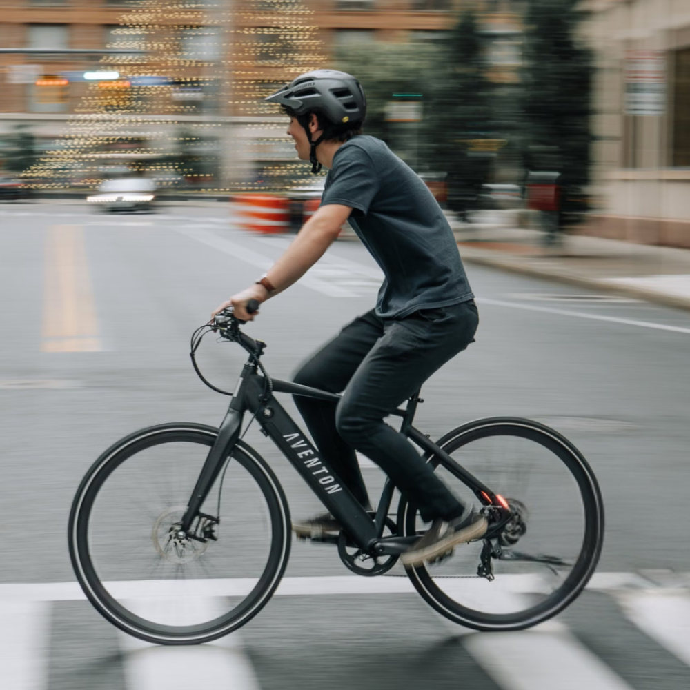 Soltera.2 E-Bike