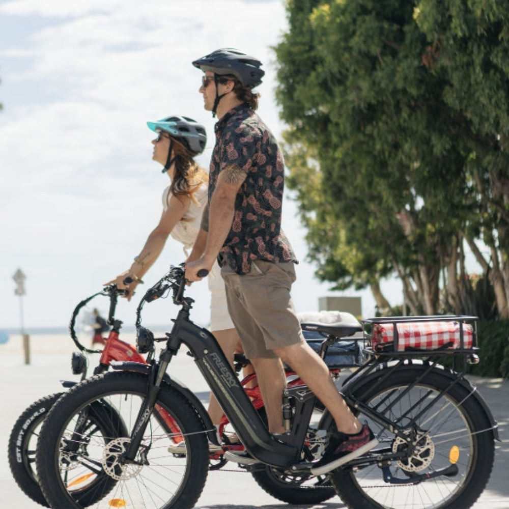 Wild Cat Pro A-340 E-Bike