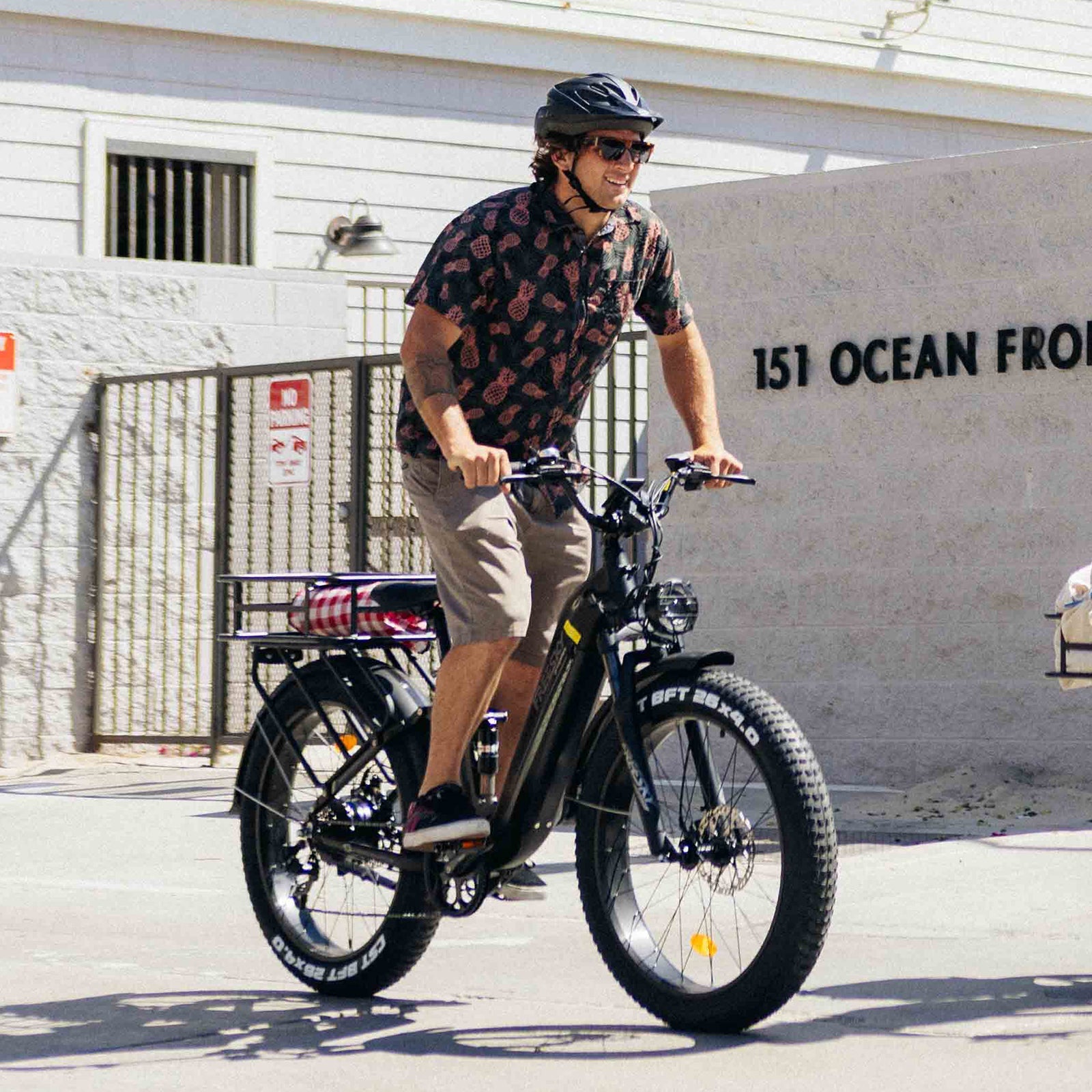 Wild Cat Pro A-340 E-Bike