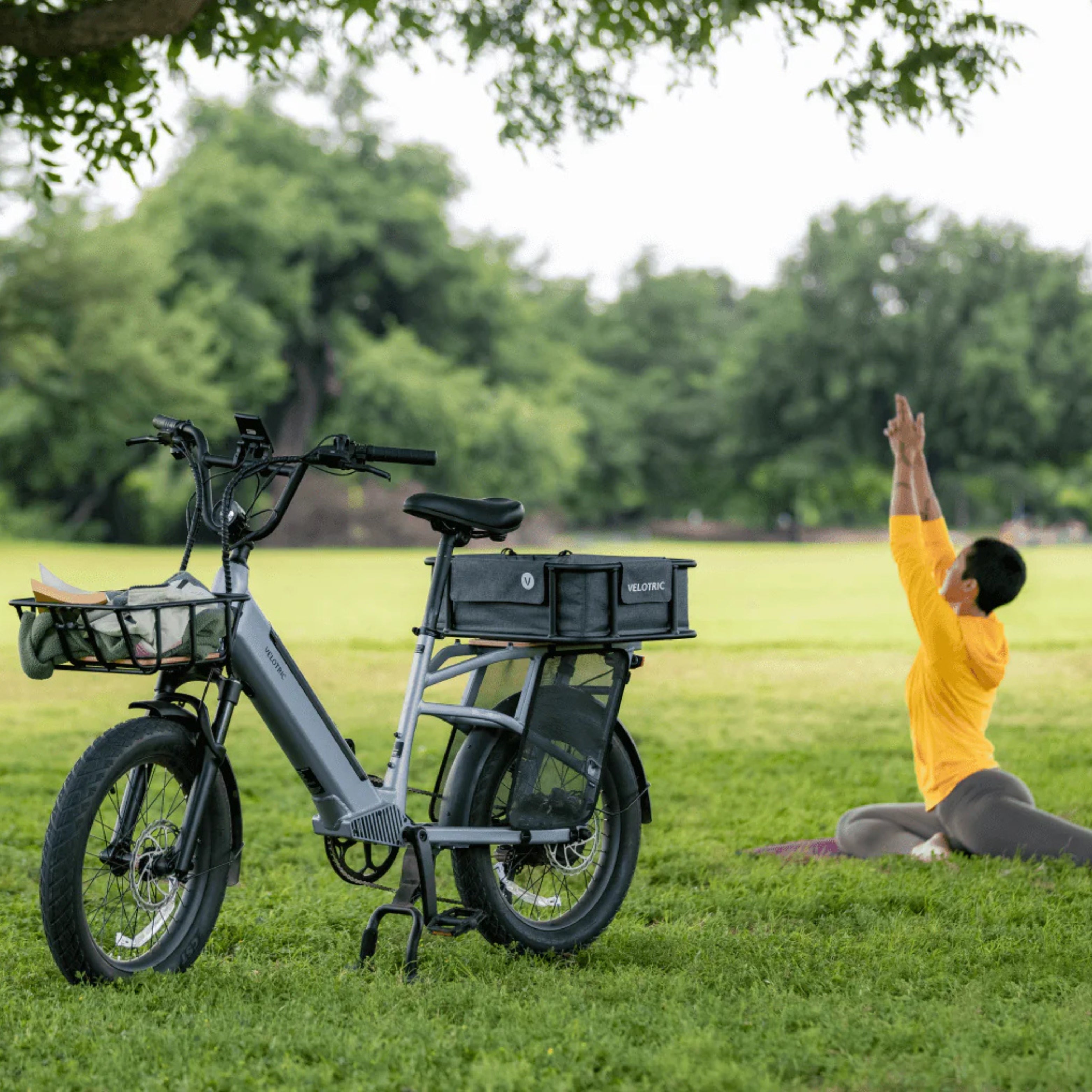 EZbike Canada : Velotric Go 1 Step-Through E-Bike