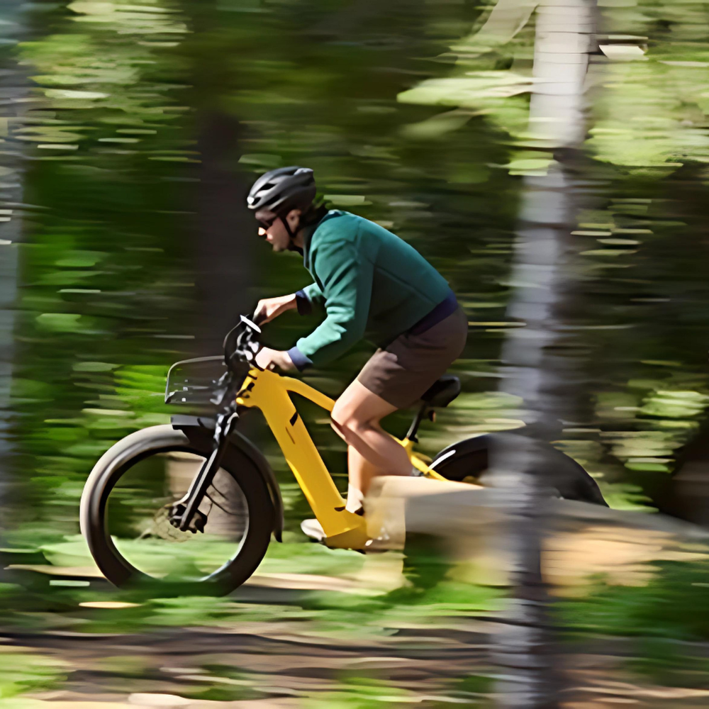 EZbike Canada : Velotric Nomad 1 Step-Through E-Bike