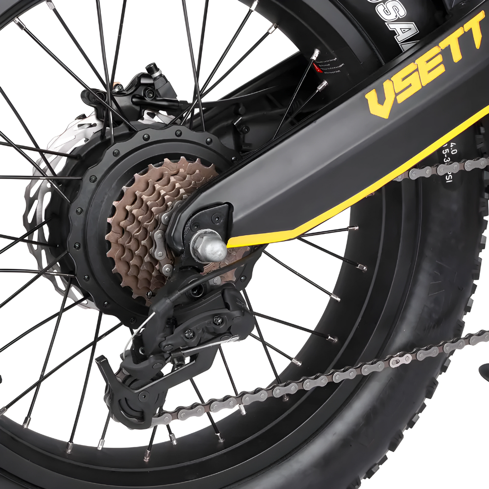 Eagle E-Bike