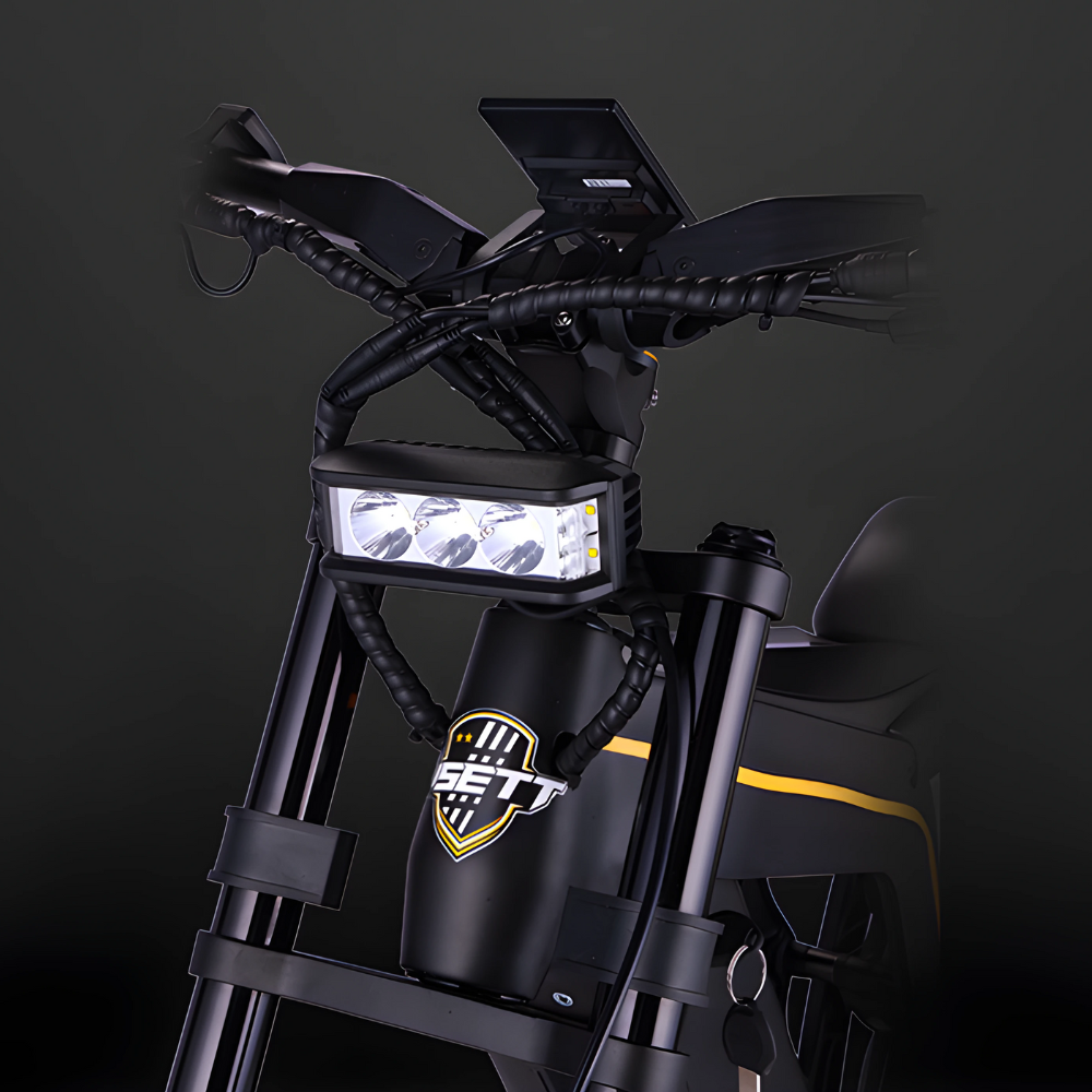 Eagle E-Bike