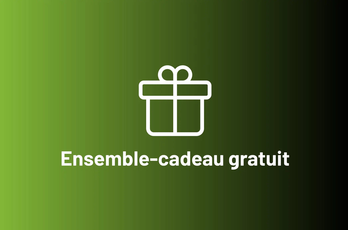 EZbike free gift  fr