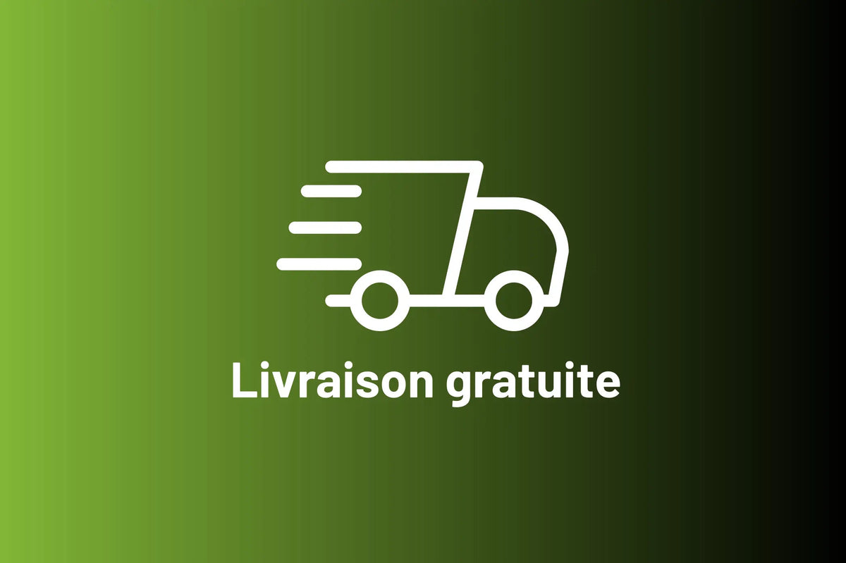 EZbike free shipping fr