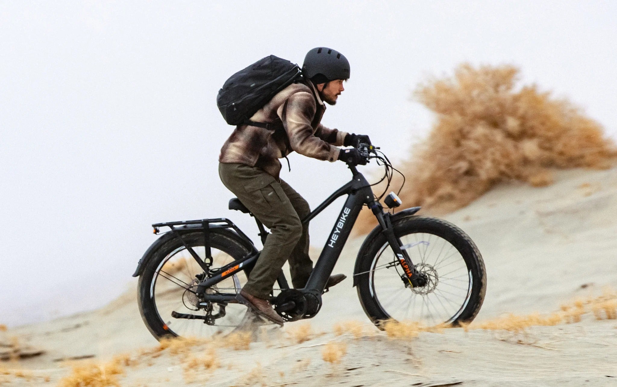 Alpha Step-Over E-bike