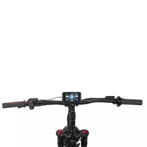 EZbike Canada : EMOVE RoadRunner Pro