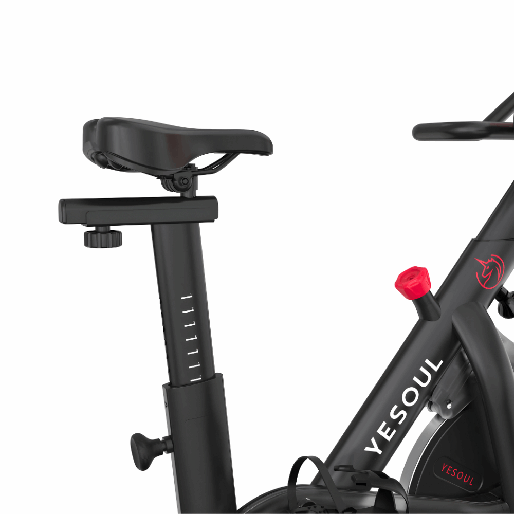 G1M PLUS Exercise Bike