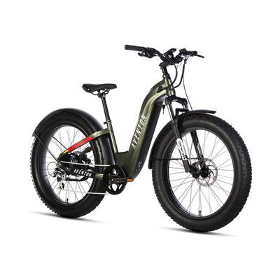 Aventon Aventure Step Through - GREEN M/L-EZbike Canada