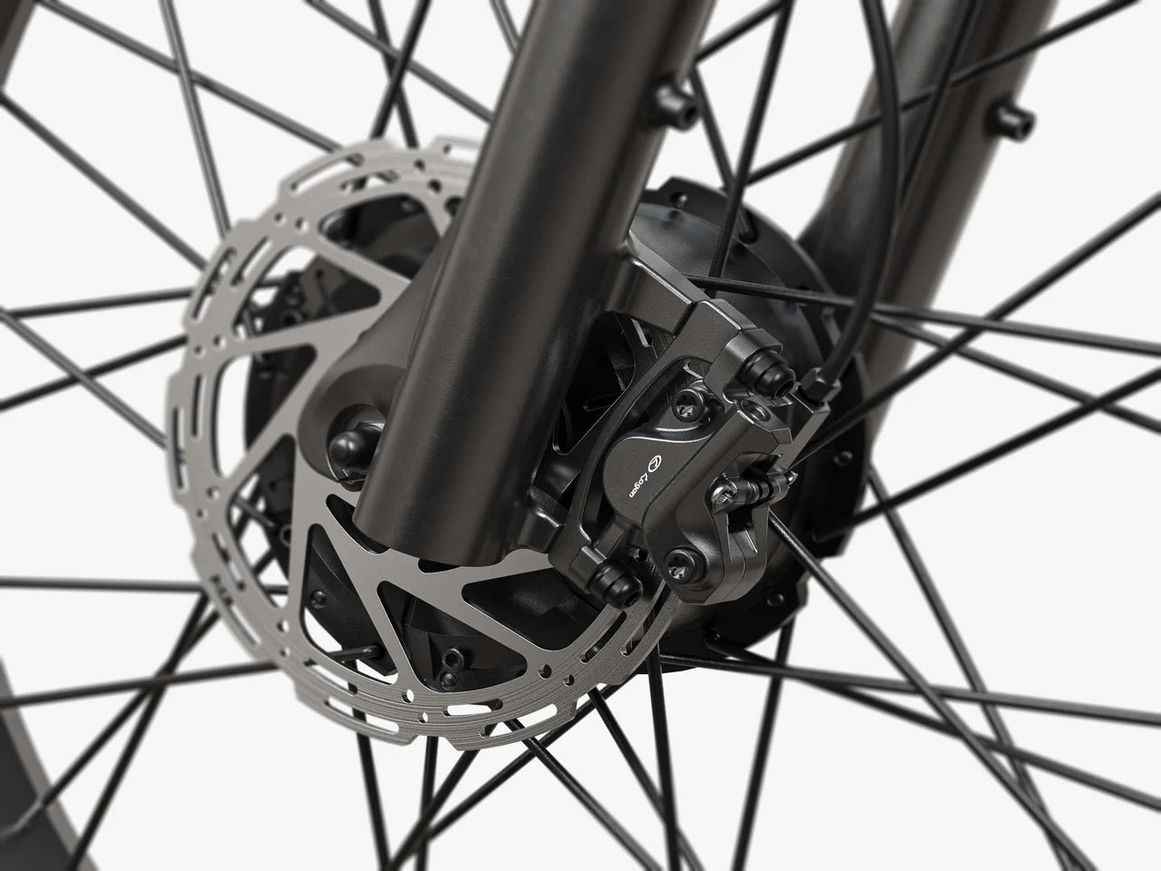 
                  Hydraulic Braking System-Labrador Pro Ebike
                