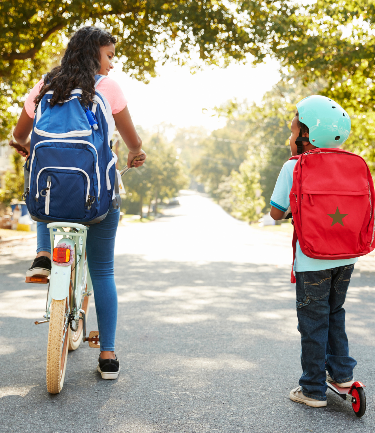 back to school collection image
