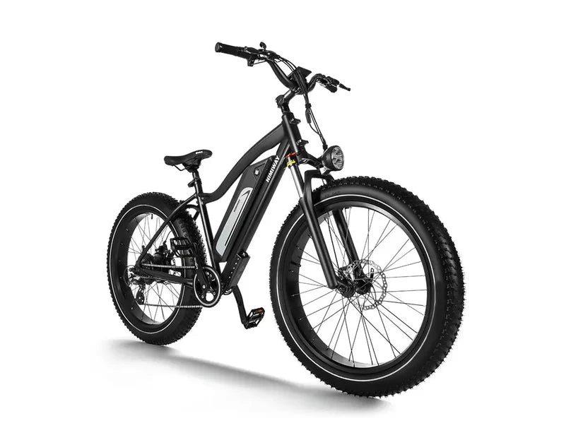 EZbike-HIMIWAY-D3 (Cruiser) | Long Range Fat Tire Electric Bike