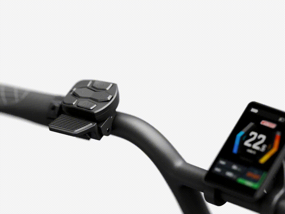 d5 2.0 20" sensor switching