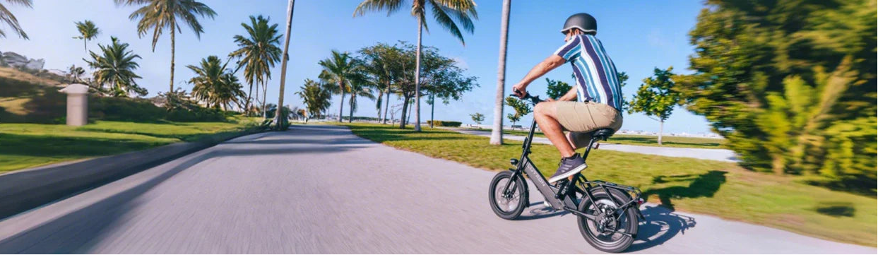 EZbike Blutron Collection | Most affordable ebike