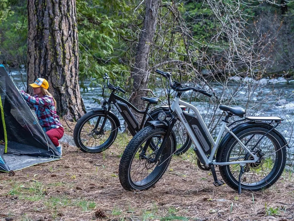 EZbike-HIMIWAY-D3 ST(Cruiser ST)
