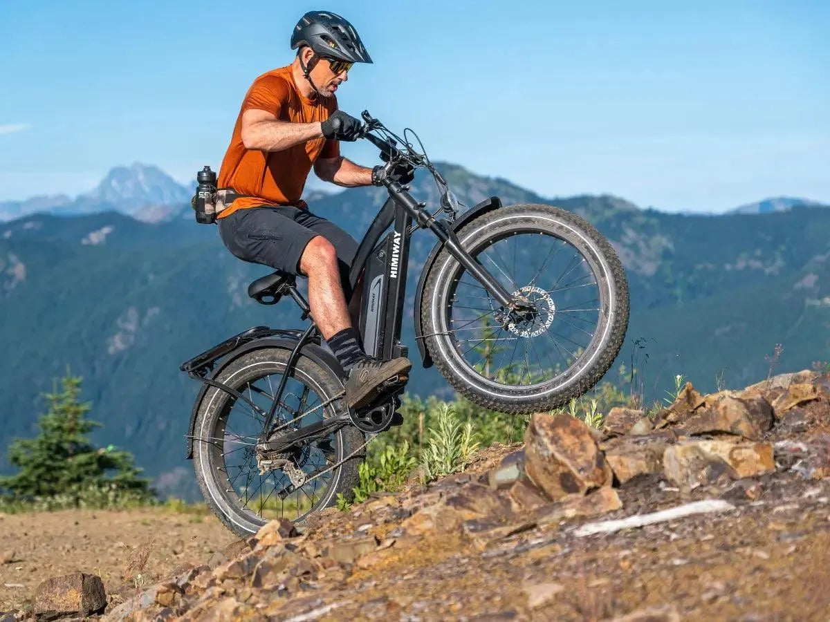 EZbike-HIMIWAY-D3 (Cruiser) | Long Range Fat Tire Electric Bike