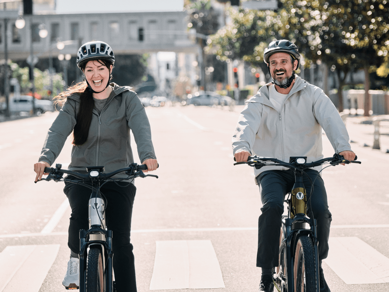 EZbike-Discover M Ebike-Velotric