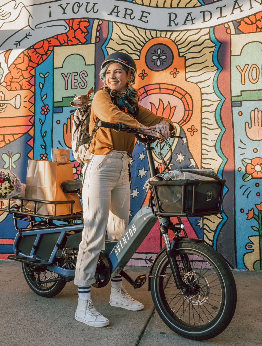 EZbike Canada : Aventon Abound Cargo E-Bike