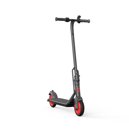 EZbike Canada : Ninebot C20 Kids Kickscooter by Segway