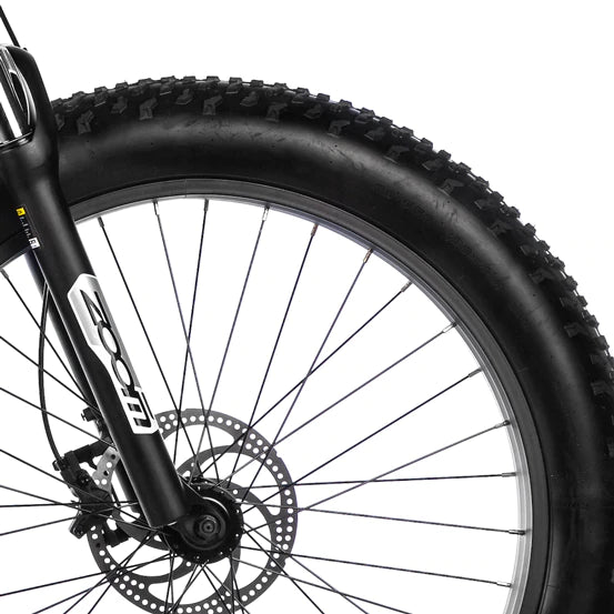 Aventon Aventure Step Through - GREEN M/L-EZbike Canada
