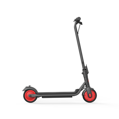 EZbike Canada : Ninebot C20 Kids Kickscooter by Segway