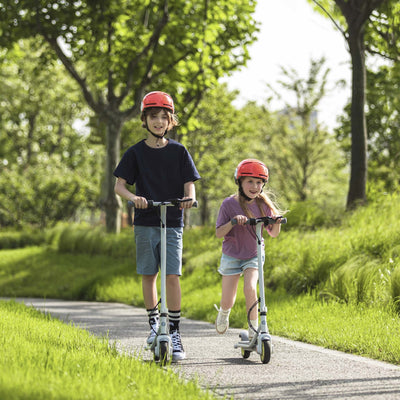 EZbike Canada : Refurbished Segway-Ninebot eKickscooter Zing C8